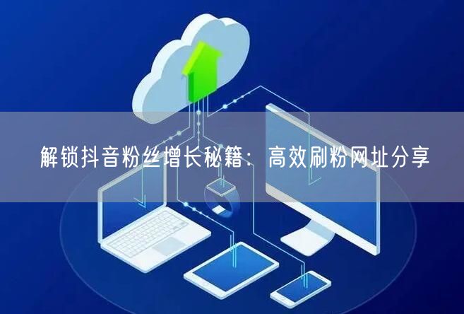 解锁抖音粉丝增长秘籍：高效刷粉网址分享