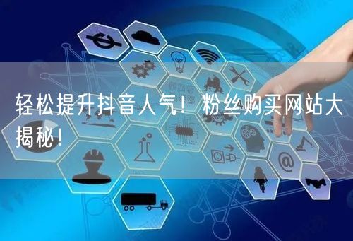 轻松提升抖音人气！粉丝购买网站大揭秘！