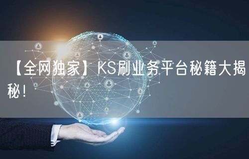 【全网独家】KS刷业务平台秘籍大揭秘！