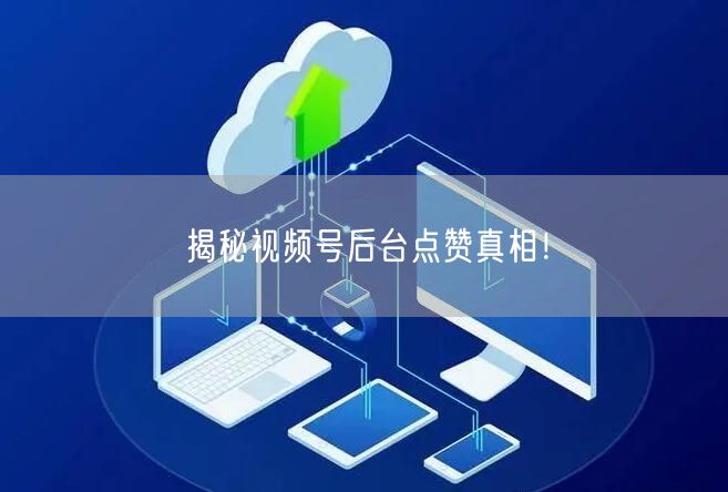 揭秘视频号后台点赞真相！