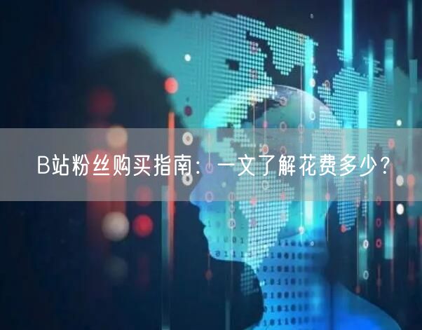 B站粉丝购买指南：一文了解花费多少？