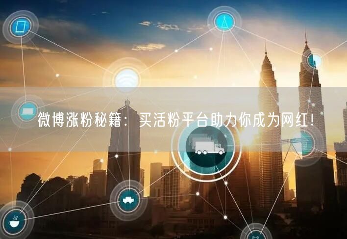 微博涨粉秘籍：买活粉平台助力你成为网红！