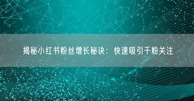 揭秘小红书粉丝增长秘诀：快速吸引千粉关注