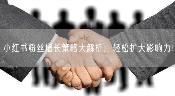 小红书粉丝增长策略大解析，轻松扩大影响力！