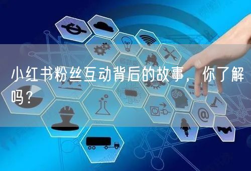 小红书粉丝互动背后的故事，你了解吗？