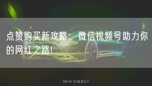 点赞购买新攻略:微信视频号助力你的网红之路!