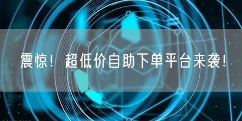 震惊！超低价自助下单平台来袭！
