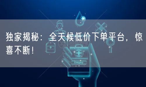 独家揭秘：全天候低价下单平台，惊喜不断！