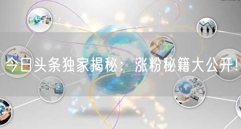 今日头条独家揭秘：涨粉秘籍大公开！