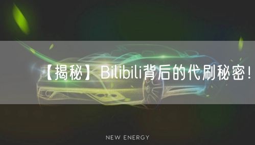 【揭秘】Bilibili背后的代刷秘密!
