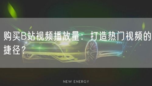 购买B站视频播放量:打造热门视频的捷径?