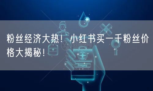 粉丝经济大热!小红书买一千粉丝价格大揭秘!